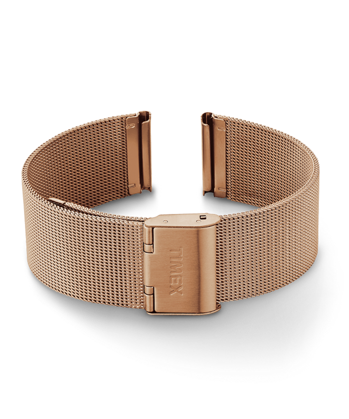 TW7C59100 20mm Mesh Band Primary Image