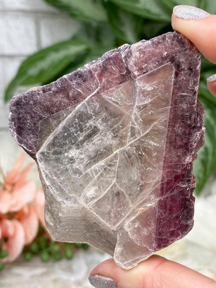 bicolor-lepidolite