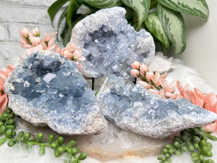 Blue Celestite Geodes