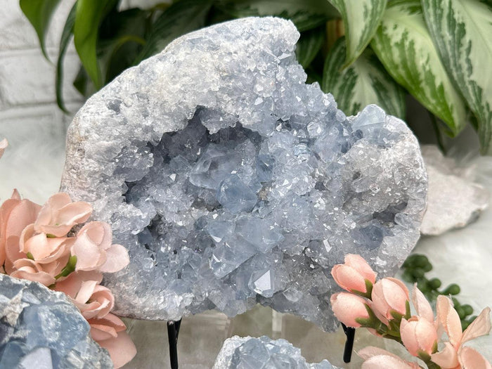 Blue Celestite Geodes