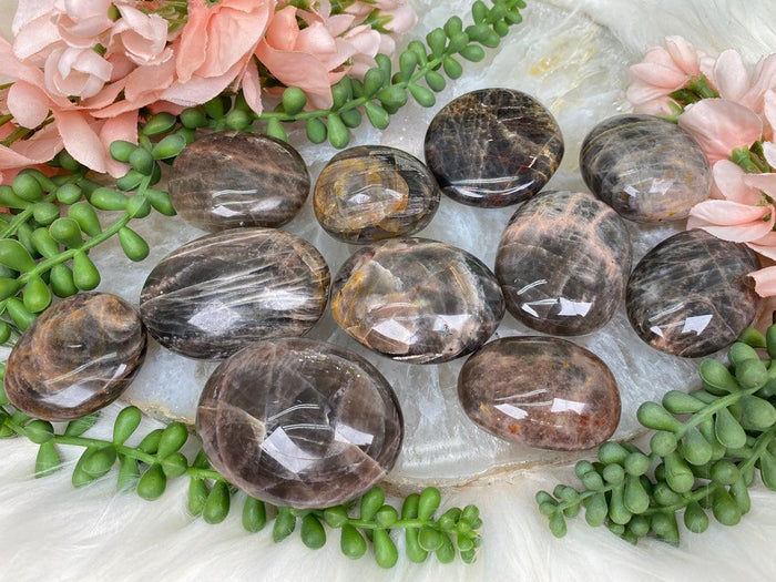 brown-moonstone-palms