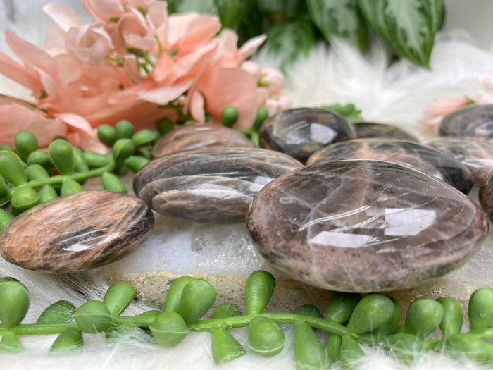 brown-moonstone-palms
