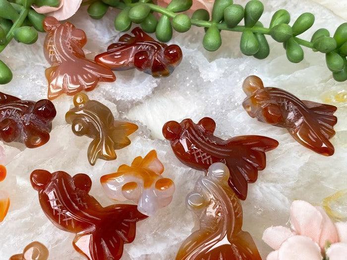 small-carnelian-fish-crystals