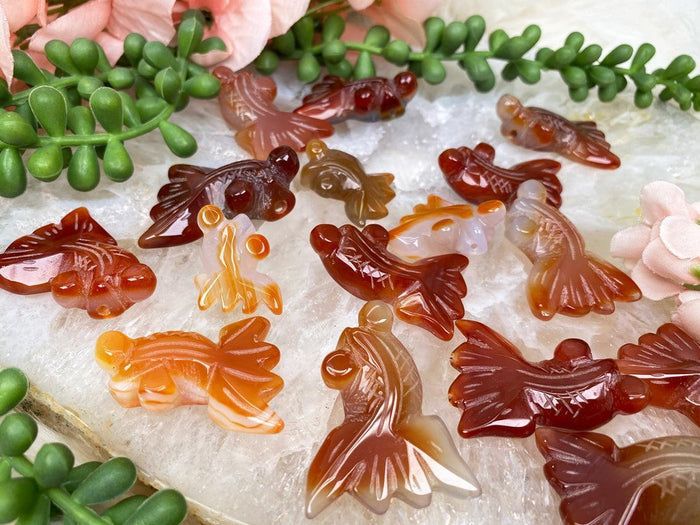 carnelian-fish