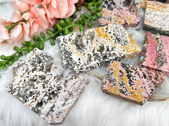 orbicular-colorful-ocean-jasper-slabs