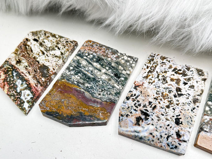 orbicular-colorful-ocean-jasper-slabs