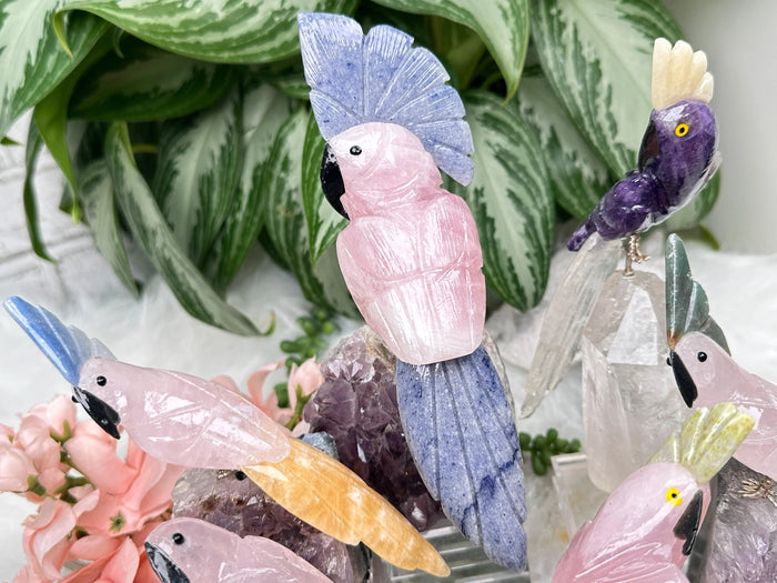 Colorful Crystal Birds