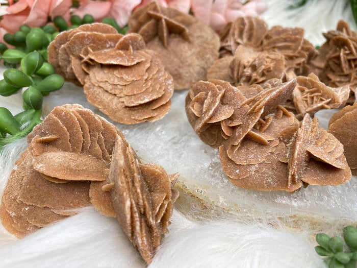 Desert Rose Selenite