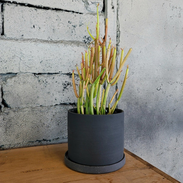 PLANTERS - EASTON PLANTER - 5.5" - CHARCOAL