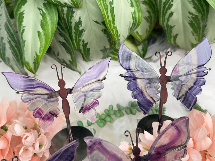 purple-green-fluorite-butterfly-crystals-on-metal-stand