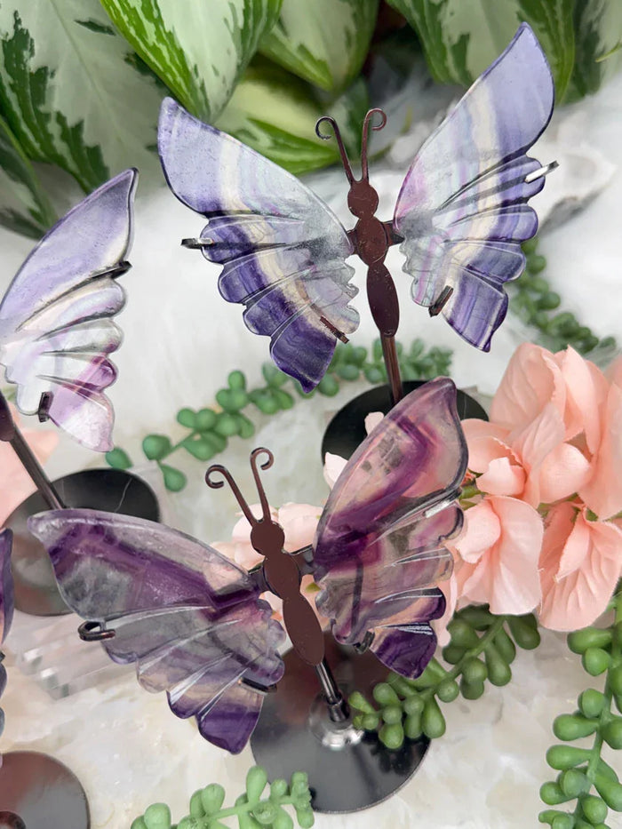 purple-green-fluorite-butterfly-crystals-on-metal-stand