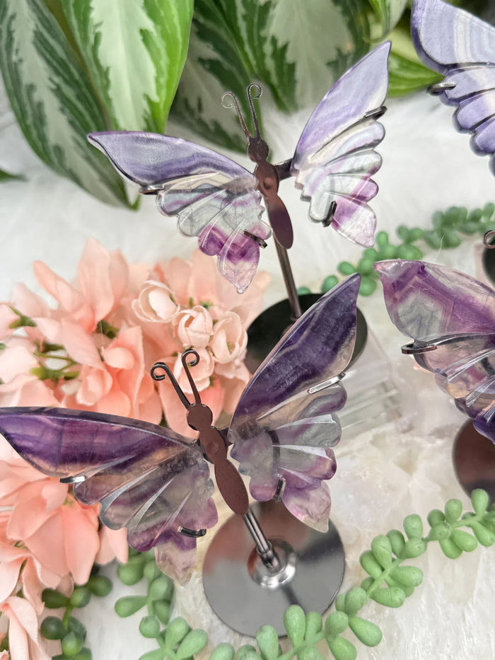 Fluorite Crystal Butterflies