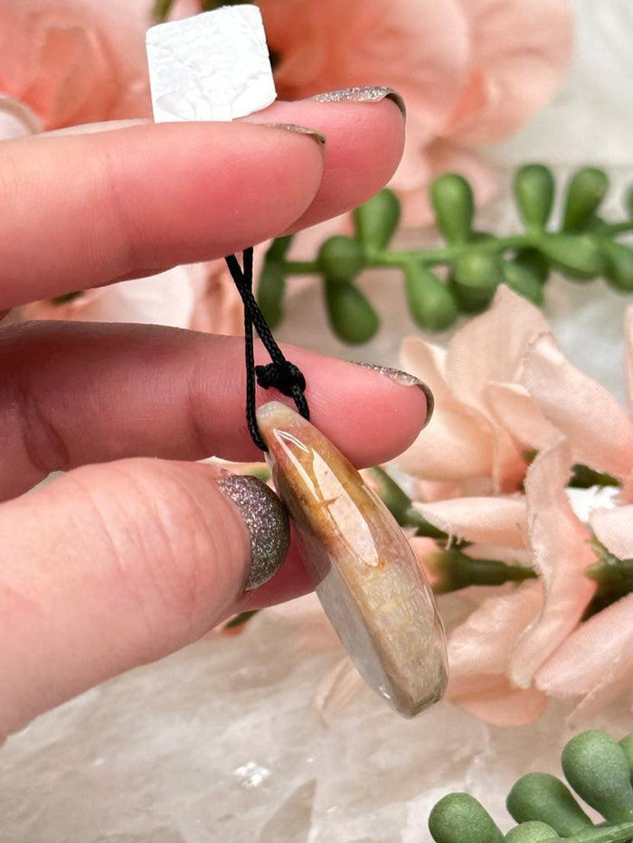 Fossil Coral Pendant