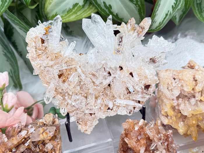golden-healer-colombian-quartz-clusters