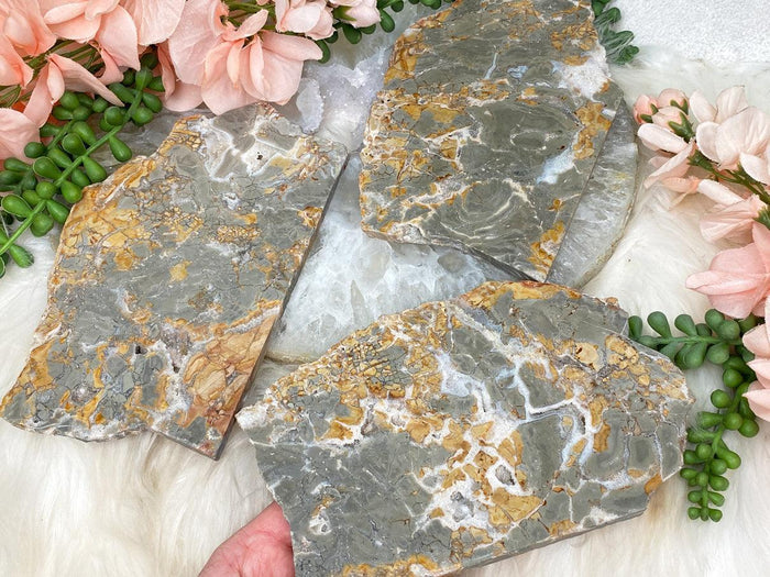 agate-jasper-slices