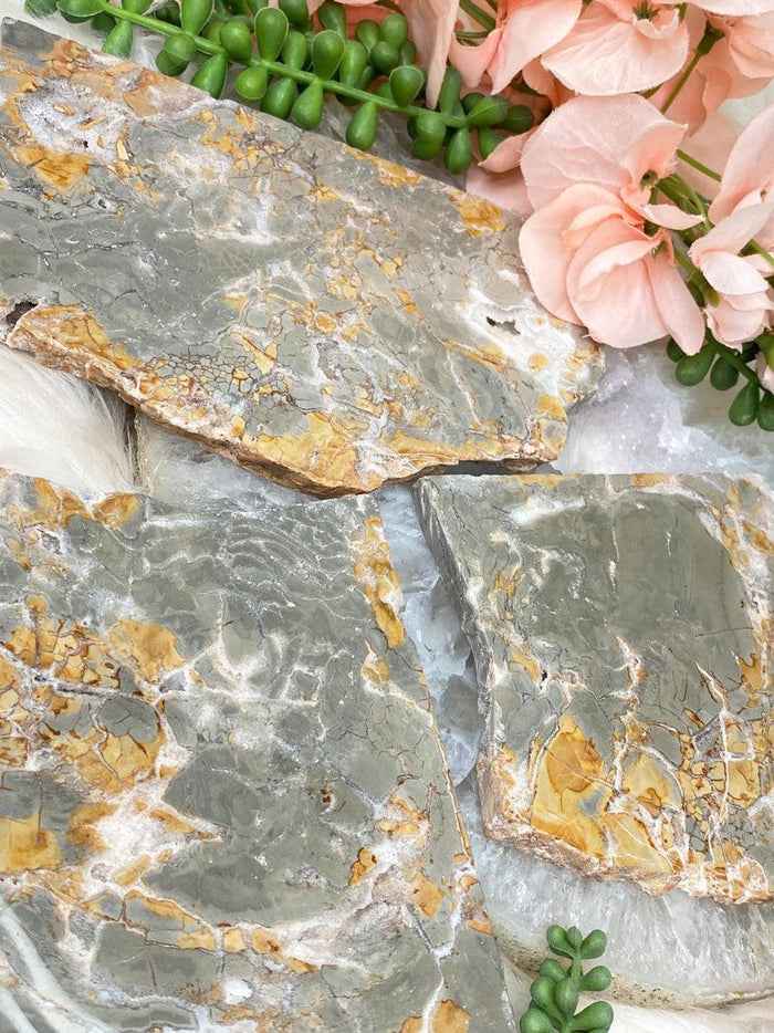 ibis-jasper-slices