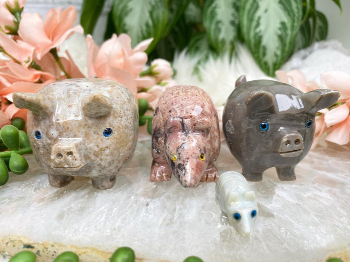 soapstone-armadillos-pigs