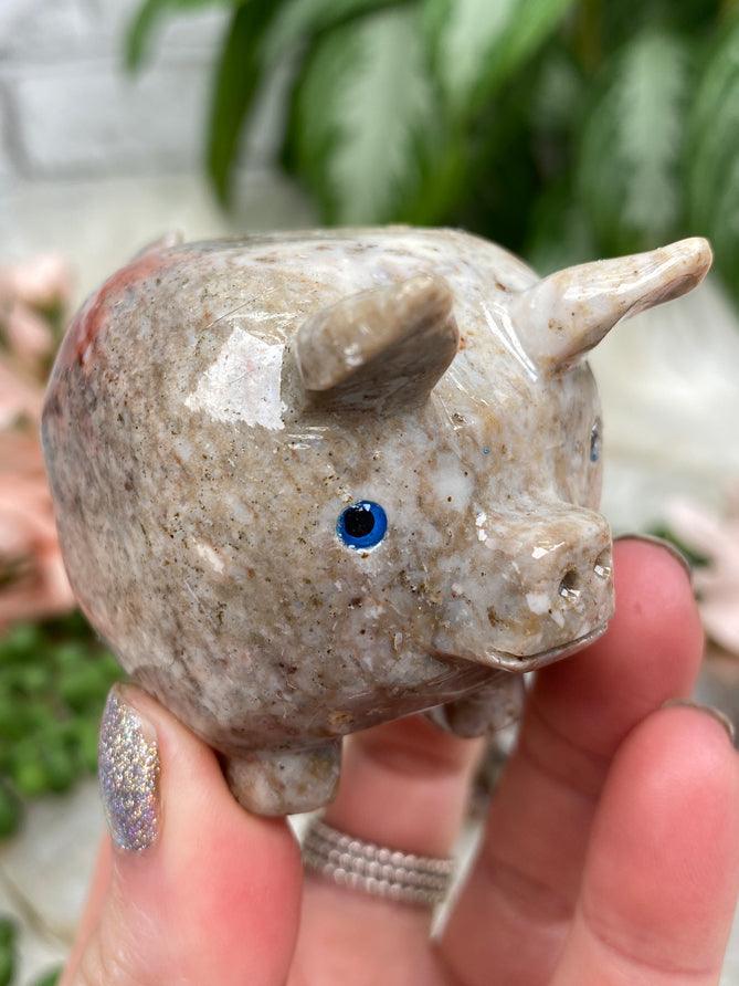 TAN PIG