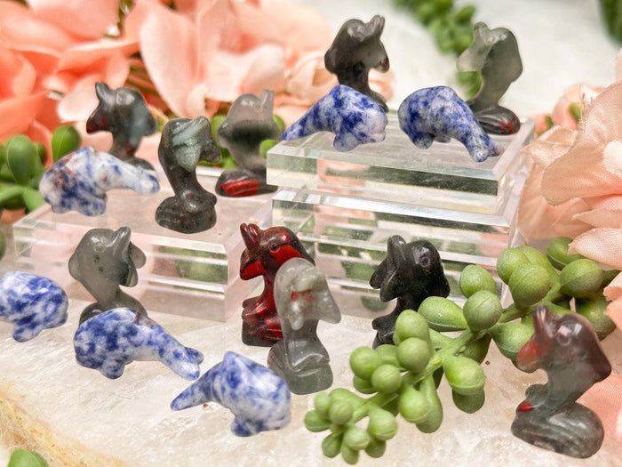 dolphin-crystals
