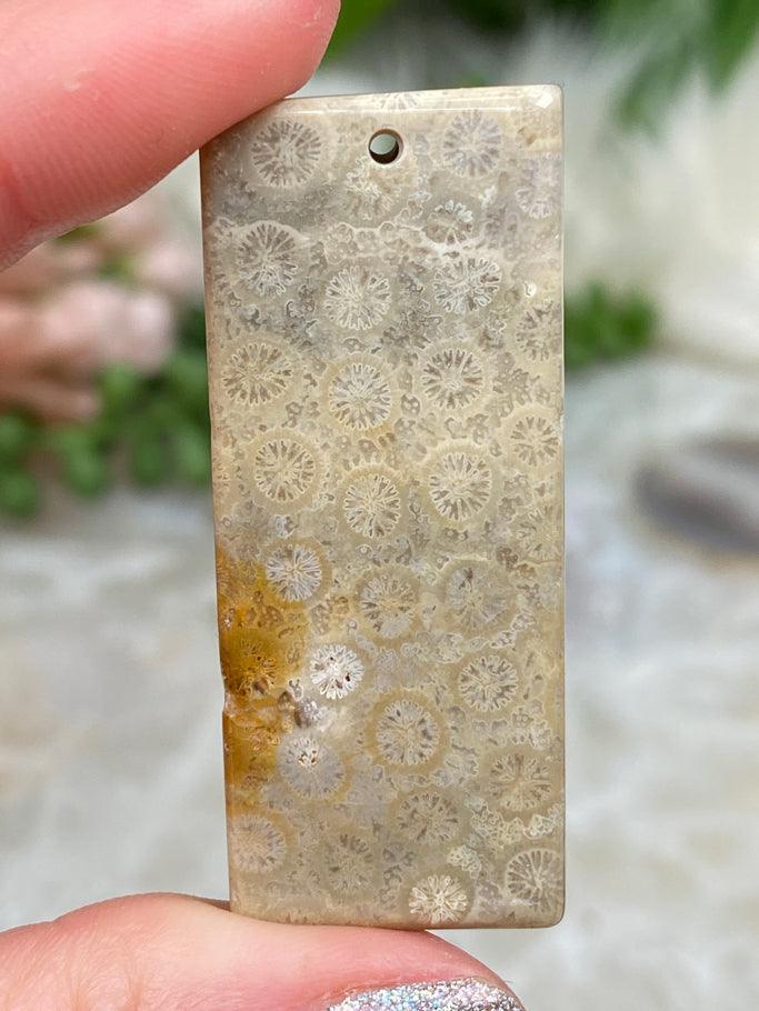 FOSSIL CORAL - A