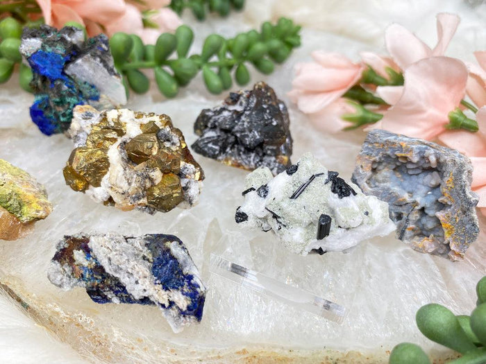 Mixed Small Specimens
