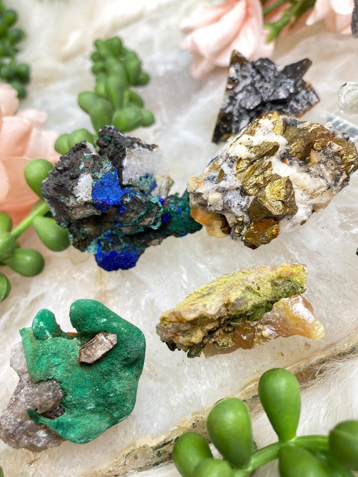 Mixed Small Specimens