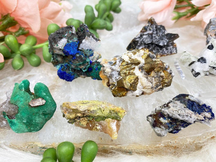 small-mixed-specimens