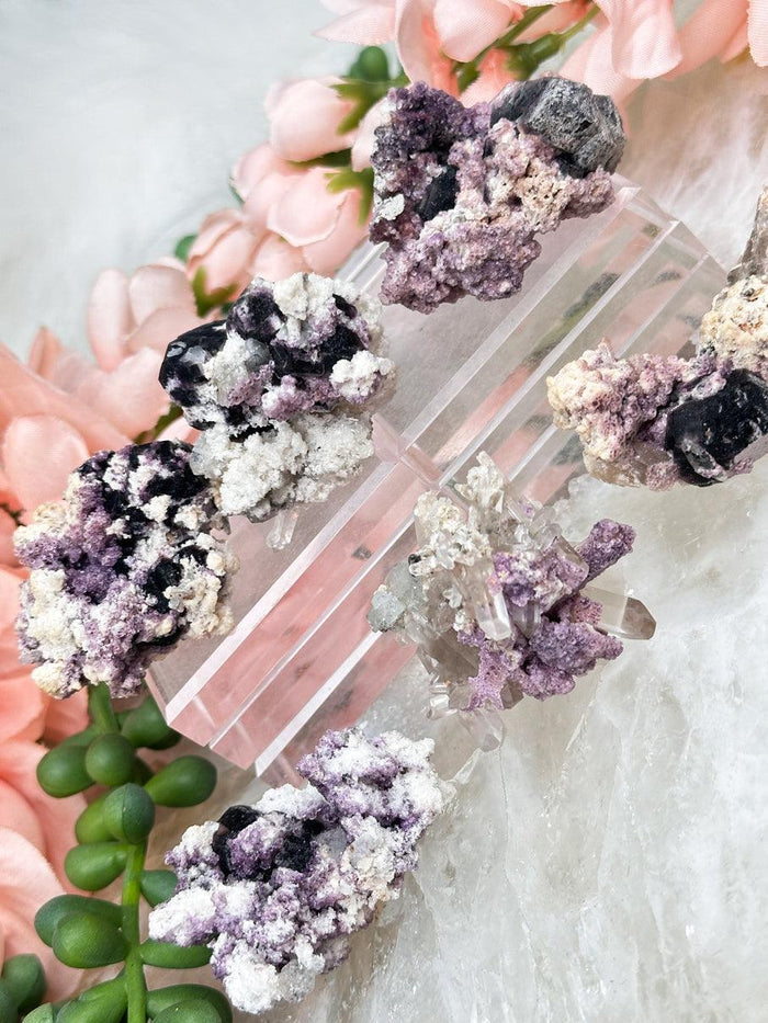 Namibia Purple Fluorite Specimens