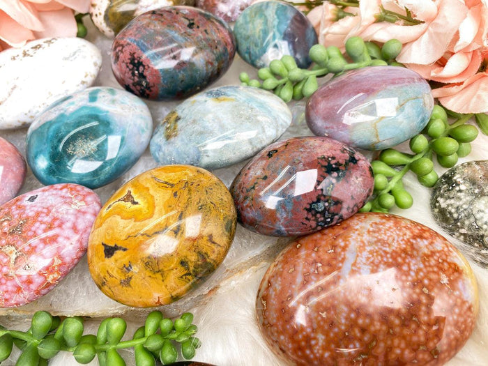 ocean-jasper-palms