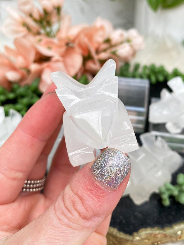 white-stegosaurus-crystal-face
