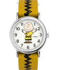 TW2R41100 Peanuts® x Timex Charlie Brown 38mm Fabric Strap Watch Primary Image