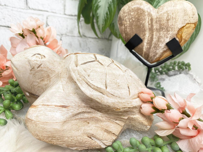 petrified-wood-turtle-heart