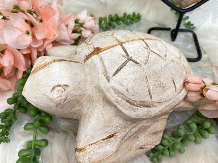 petrified-wood-turtle-heart