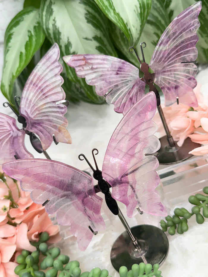 purple-fluorite-butterflies-on-metal-stands