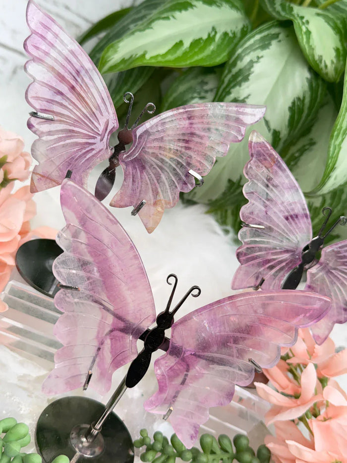 purple-fluorite-butterflies-on-metal-stands