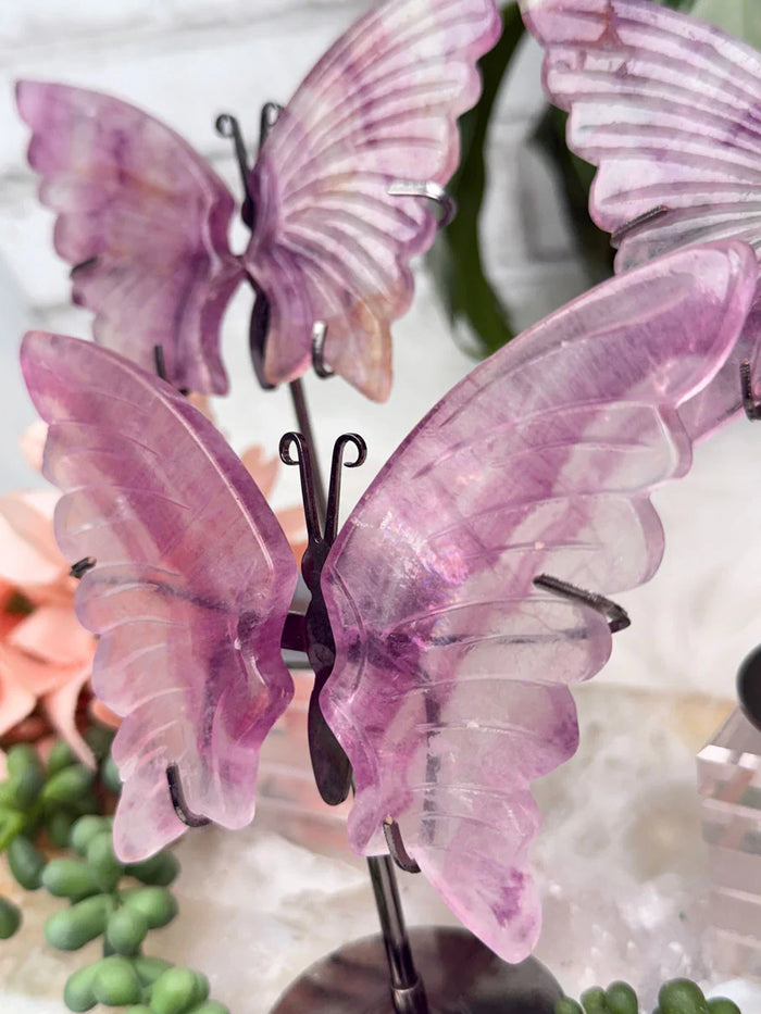 purple-fluorite-butterflies-on-metal-stands