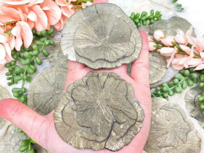 buy-pyrite-suns