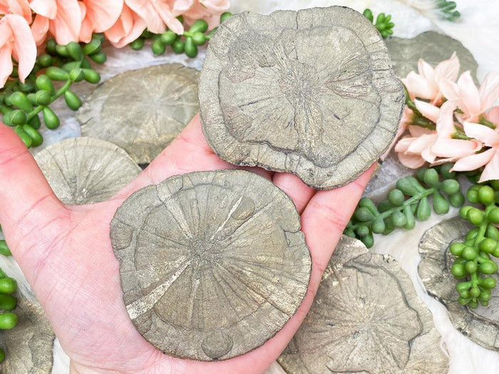pyrite-suns-for-sale