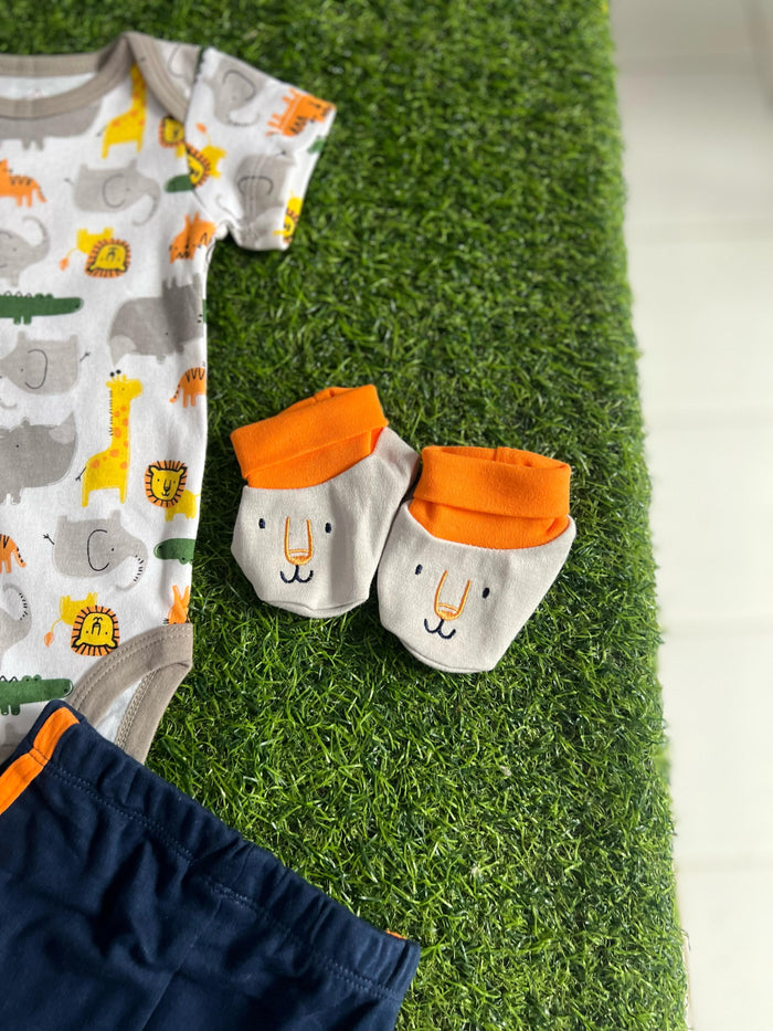 Roar 5 pc Set