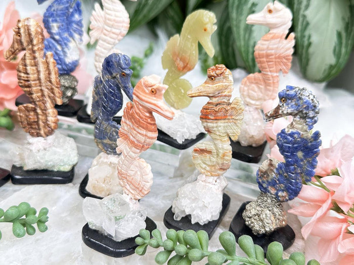 Seahorse Crystals