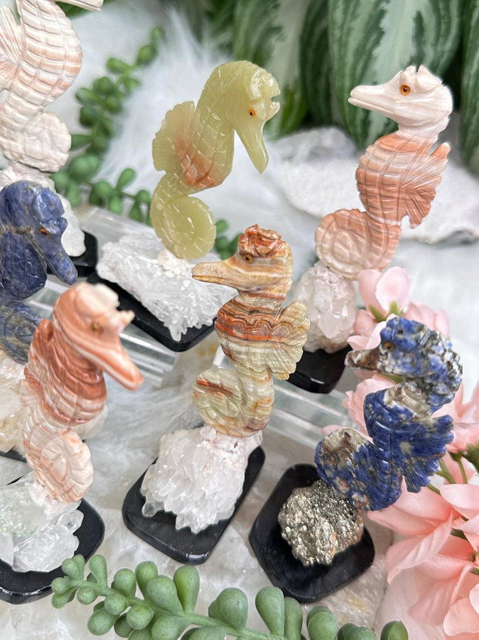 carved-seahorse-crystals