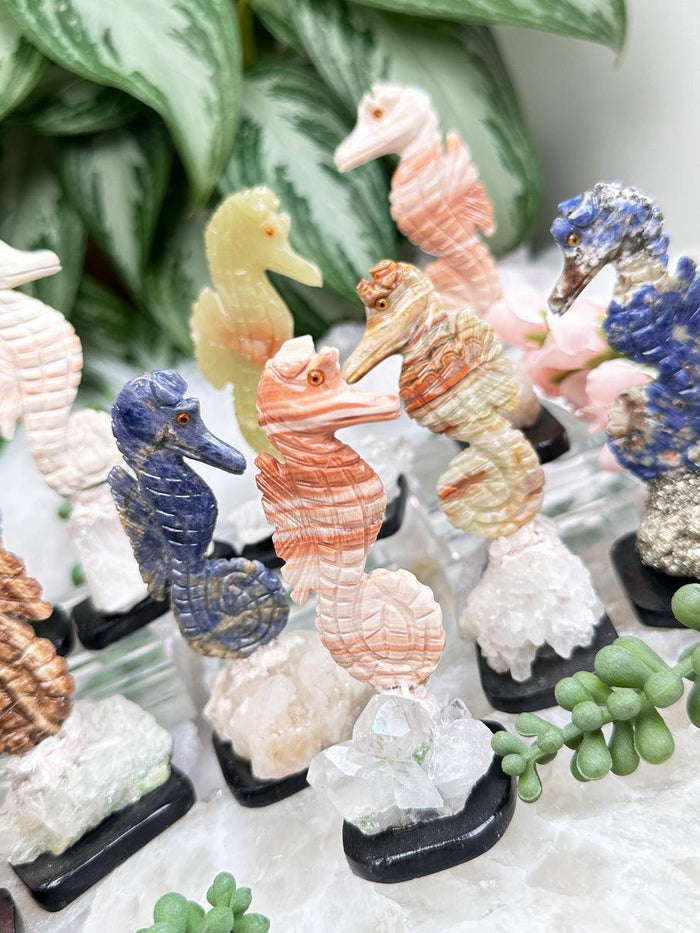 Seahorse Crystals
