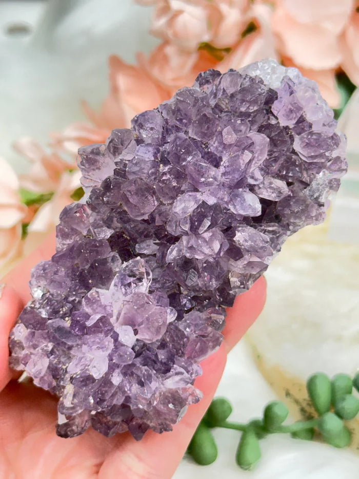 Small Amethyst Clusters