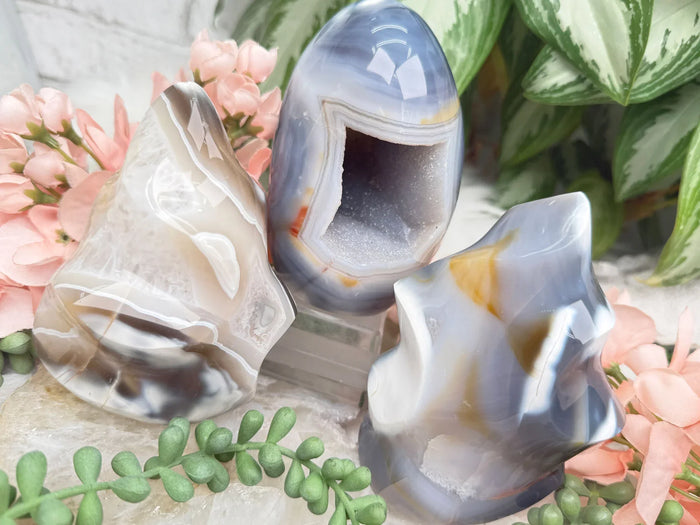 Standing Orca Agate