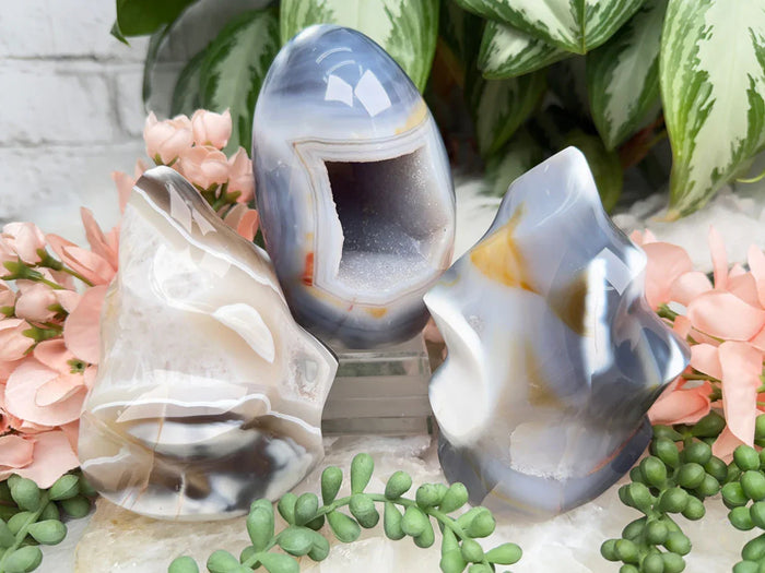 Standing Orca Agate