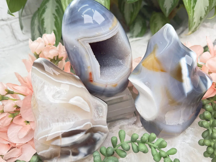 Standing Orca Agate
