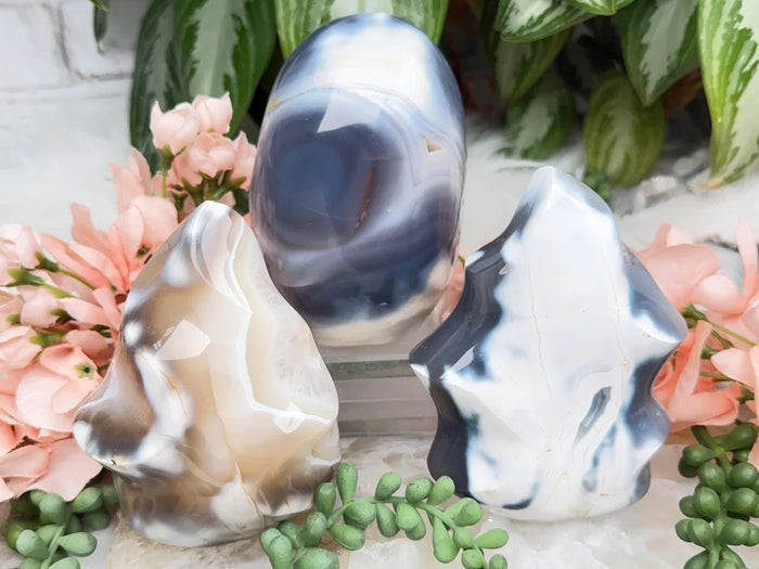 Standing Orca Agate