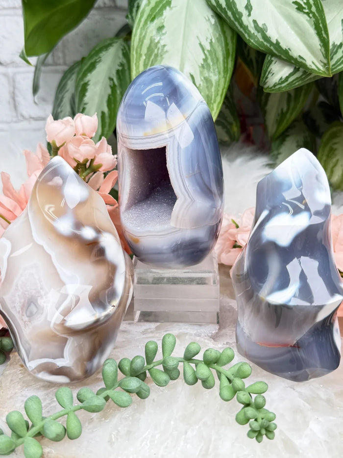 Standing Orca Agate