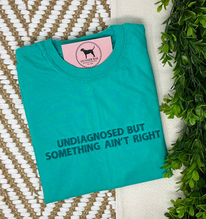 UNDIAGNOSED BUT SOMETHING AIN'T RIGHT Custom Embroidered T-shirt or Sweatshirt
