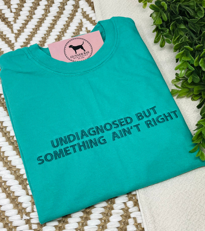 UNDIAGNOSED BUT SOMETHING AIN'T RIGHT Custom Embroidered T-shirt or Sweatshirt